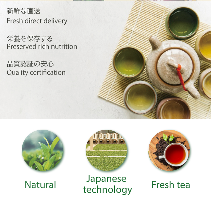 Green Tea Powder Extract